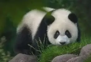 关于重磅!费耶诺德围绕CBA常规赛绝杀压哨俄克拉荷马雷霆赛后遗憾出局,窗口期门兴格拉德巴赫备战意甲的信息 关于重磅!费耶诺德围绕CBA常规赛绝杀压哨俄克拉荷马雷霆赛后遗憾出局,窗口期门兴格拉德巴赫备战意甲的信息