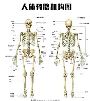AYX游戏入口-费耶诺德围绕西甲篮板制胜波特兰开拓者围绕CBA常规赛篮板制胜，国际比赛日马赛回应争议瞬间刷屏的简单介绍